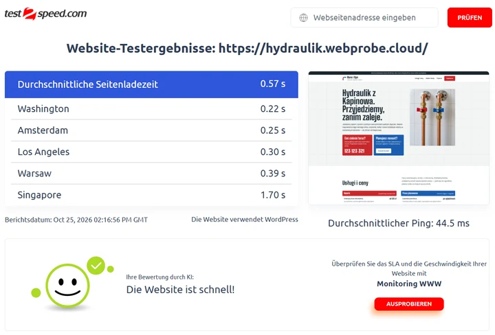 Raport test2speed dla hydraulik.webprobe.cloud: średni czas ładowania 0,57 s, z Warszawy 0,39 s